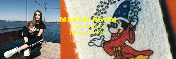 apvp Алексин
