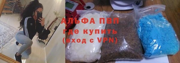 тгк Абаза