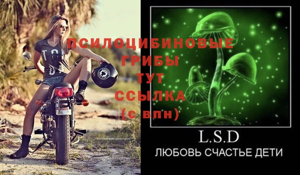 тгк Абаза