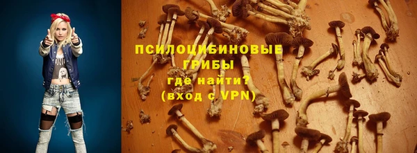 прущий лед Алзамай