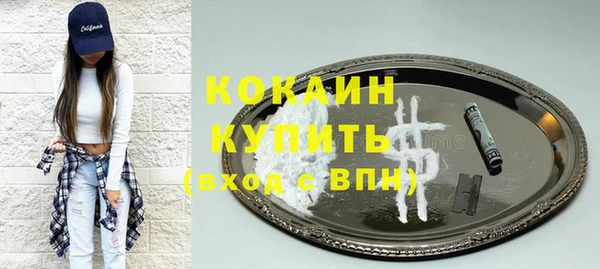 тгк Абаза