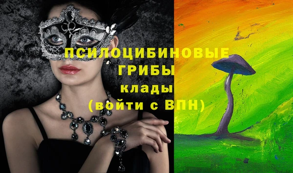 тгк Абинск
