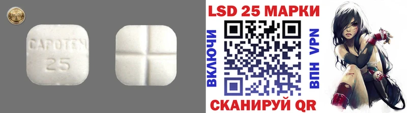 ЛСД экстази ecstasy  где найти наркотики  Чегем 