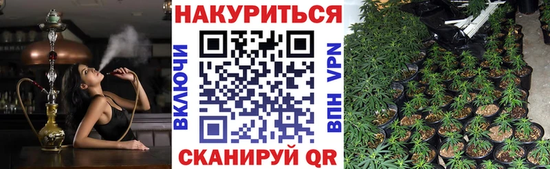 Марихуана индика где можно купить наркотик Чегем